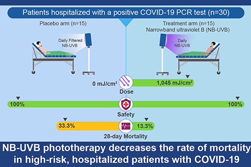 graphical abstract